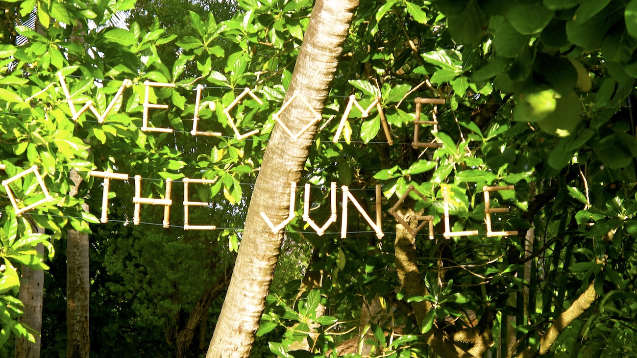 Tropical Jungle Destination Wedding