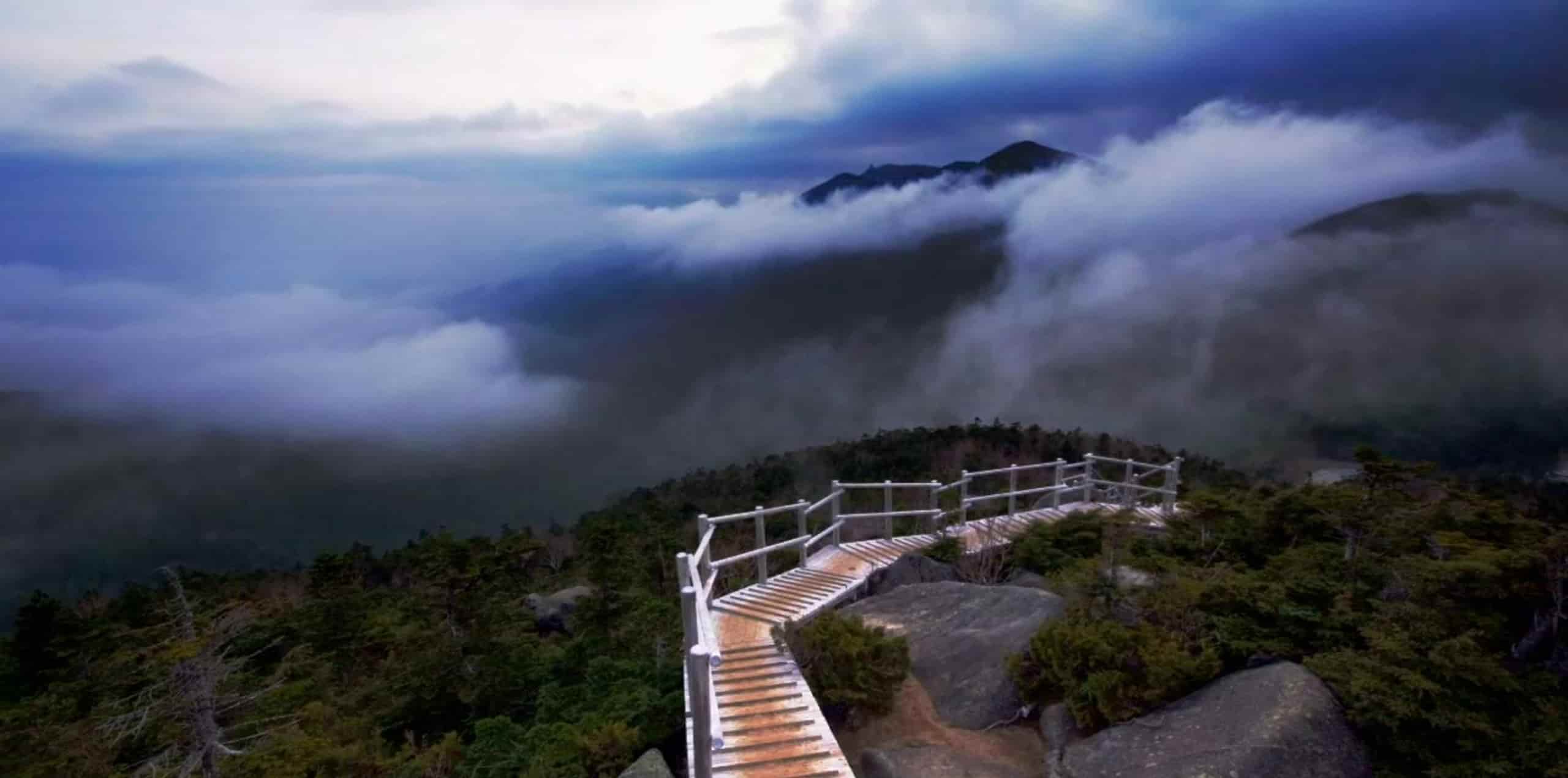 Destination Wedding in Kasauli