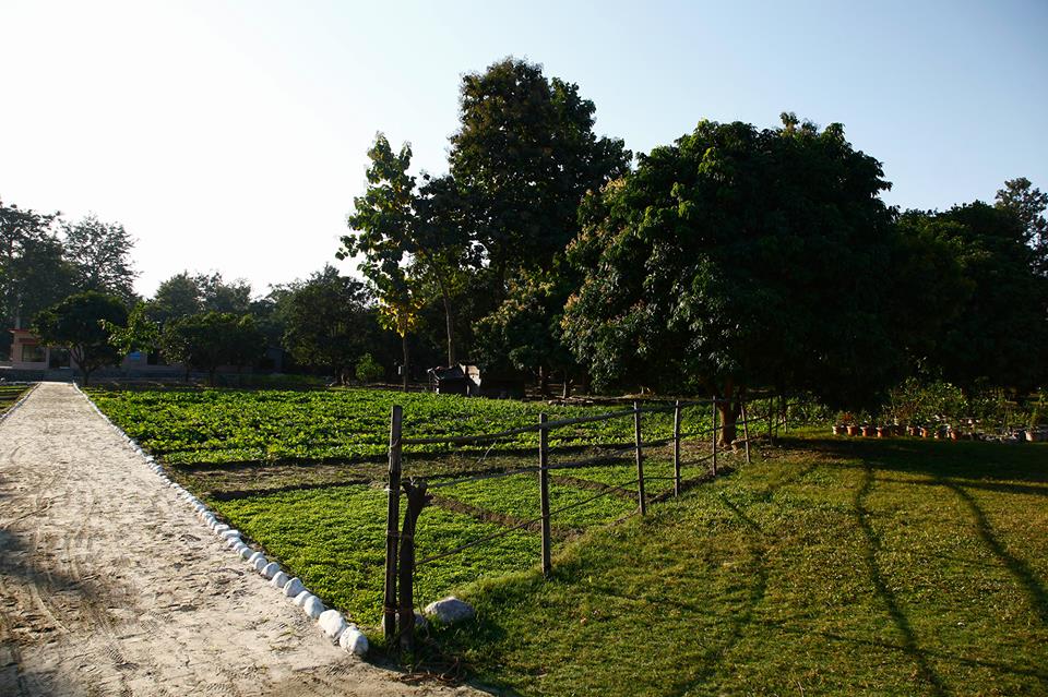 Destination Wedding in Jim Corbett; Organic farm view 1