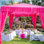 Mehendi: Canopy, seating, props